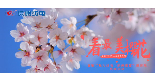 “魅力开云体育官方网站 醉美樱花”摄影作品网络投票