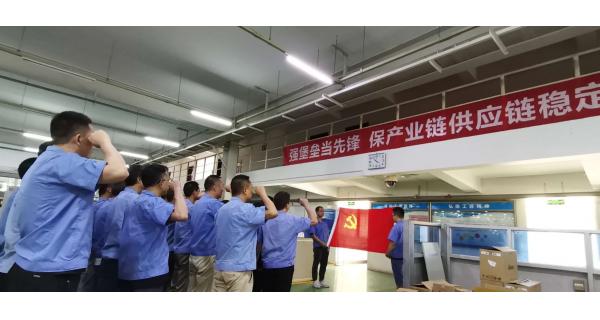 开云体育官方网站公司各支部开展“七个一”活动庆祝建党99周年